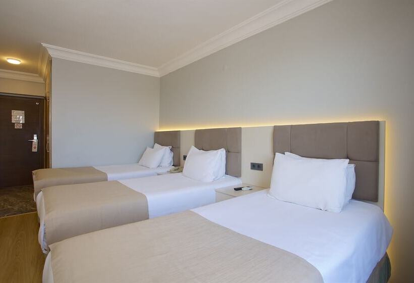 غرفة إقتصادية ثلاثية, Grand Ant