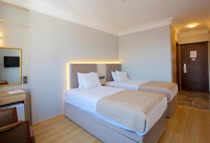 غرفة قياسية فردية, Grand Ant