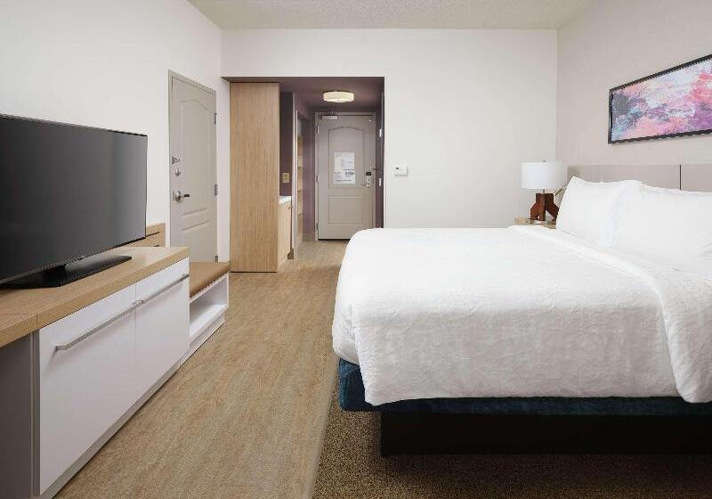 스탠다드 룸 킹사이즈 침대, Hilton Garden Inn Atlanta Nw/kennesaw Town Center