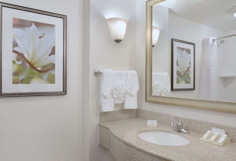 Номер Стандарт, Hilton Garden Inn Worcester