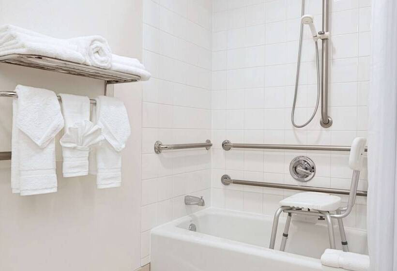 Номер Стандарт Кровать Кинг Адаптированный для Инвалидов, Hilton Garden Inn Worcester
