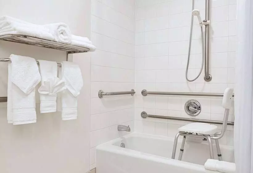 اتاق استاندارد با تخت بزرگ برای معلولان, Hilton Garden Inn Worcester