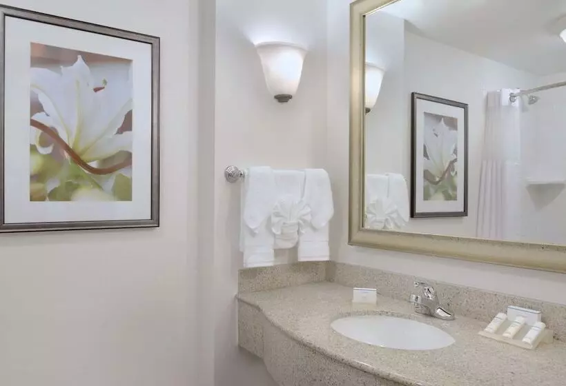 اتاق استاندارد با تخت بزرگ برای معلولان, Hilton Garden Inn Worcester