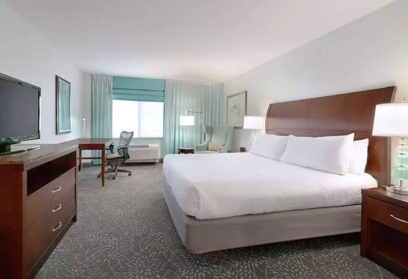 اتاق استاندارد با تخت بزرگ برای معلولان, Hilton Garden Inn Worcester