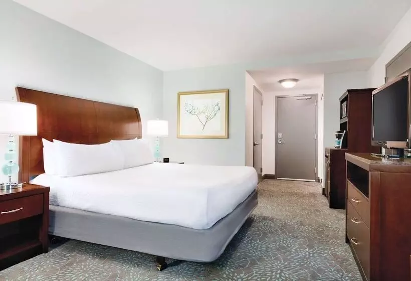 اتاق استاندارد با تخت بزرگ برای معلولان, Hilton Garden Inn Worcester