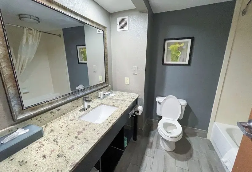 اتاق پرمیوم, OYO Townhouse Jackson Ridgeland