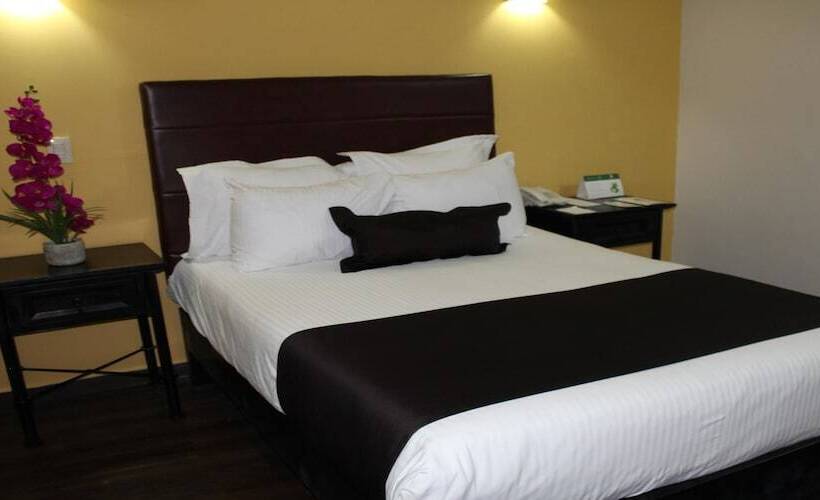 غرفة قياسية, Plaza Poblana