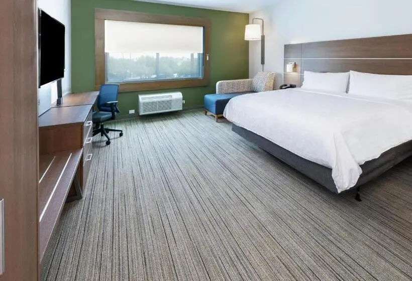 Standard-invahuone King-vuode, Holiday Inn Express & Suites Stafford Nw Sugar Land, An Ihg