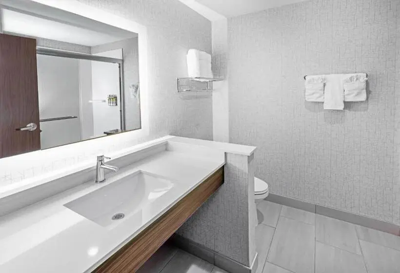 Standard-invahuone King-vuode, Holiday Inn Express & Suites Stafford Nw Sugar Land, An Ihg
