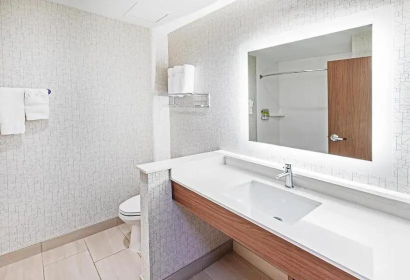 Sviitti Liikuntarajoitteisille, Holiday Inn Express & Suites Stafford Nw Sugar Land, An Ihg
