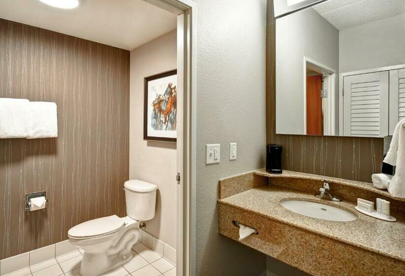 带大床的标准间, Courtyard Louisville Airport