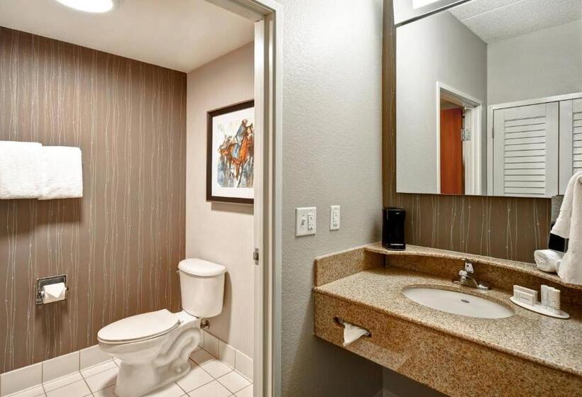 适合残疾人使用的标准间, Courtyard Louisville Airport