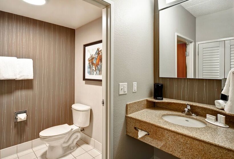 标准间, Courtyard Louisville Airport