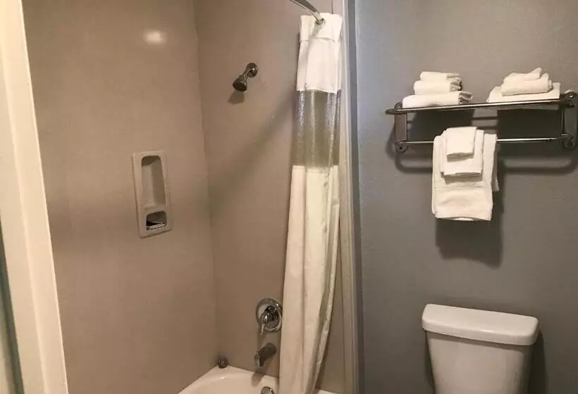 Standard-huone, Express Inn Weslaco/mercedes
