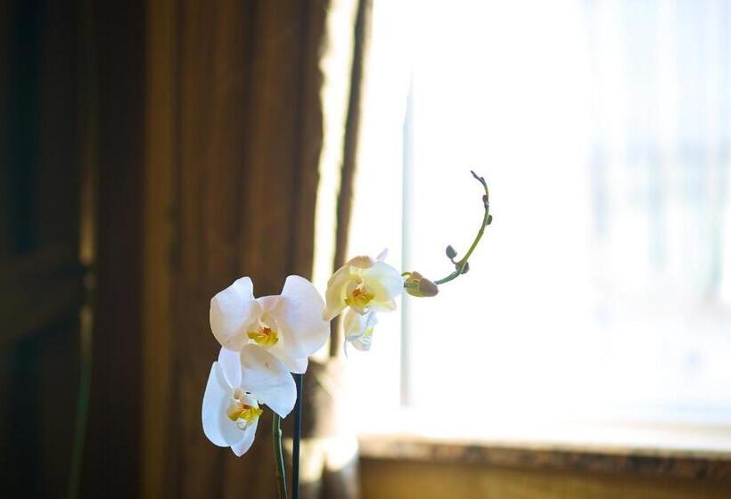 Deluxe Room, Grand Hilarium