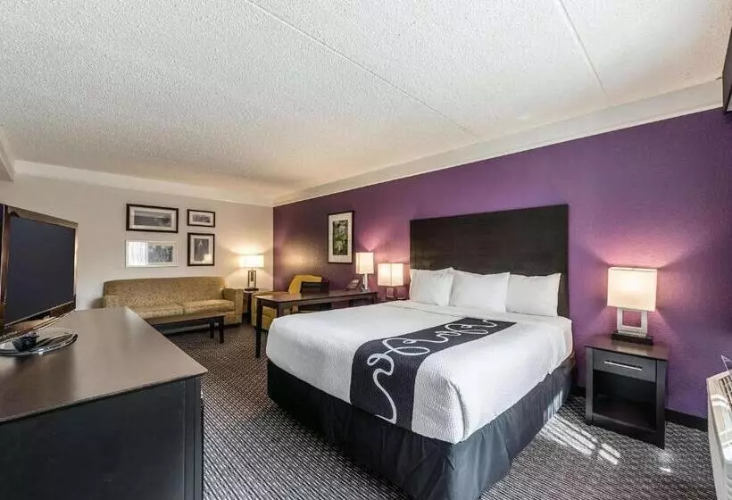 اتاق استاندارد با تخت بزرگ برای معلولان, La Quinta Inn & Suites By Wyndham San Antonio Downtown