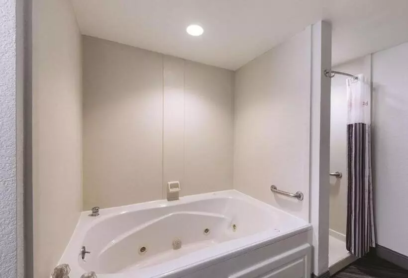 سوئیت با تخت بزرگ, La Quinta Inn & Suites By Wyndham San Antonio Downtown