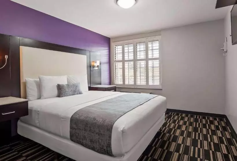 Standard-huone King-vuode, Surestay Hotel By Best Western Beverly Hills West La