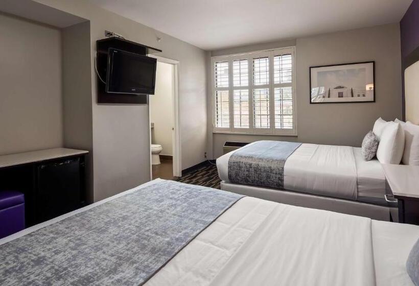 スタンダードルーム, Surestay Hotel By Best Western Beverly Hills West La