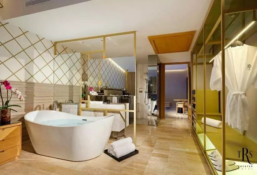 سوئیت جونیور با چشم‌انداز باغ, Trs Yucatan Hotel - Adults Only