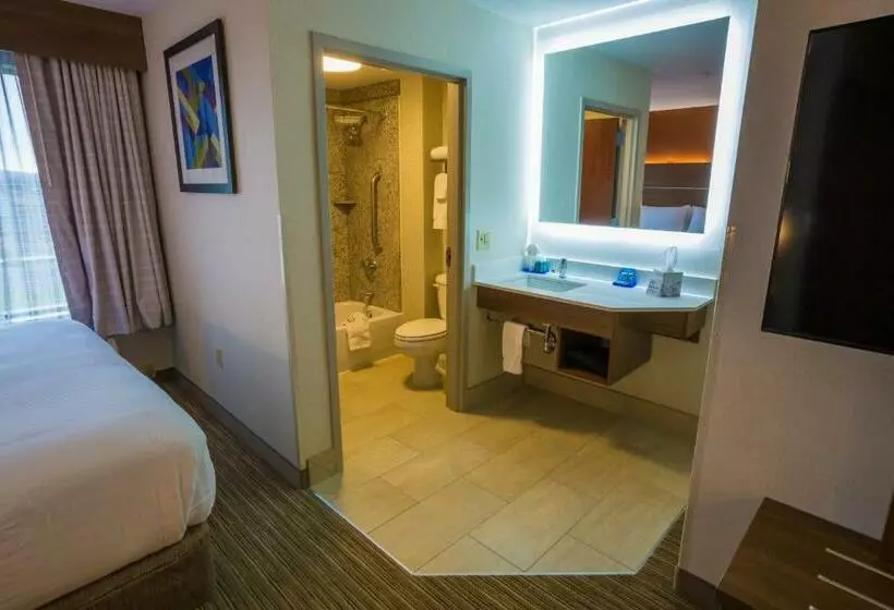 اتاق استاندارد, Holiday Inn Express Hotel & Suites Pasco Tricities, An Ihg