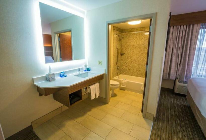 Номер Стандарт, Holiday Inn Express Hotel & Suites Pasco Tricities, An Ihg