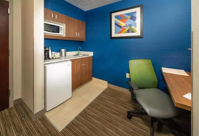سوئیت اجرایی با تخت کینگ, Holiday Inn Express Hotel & Suites Pasco Tricities, An Ihg