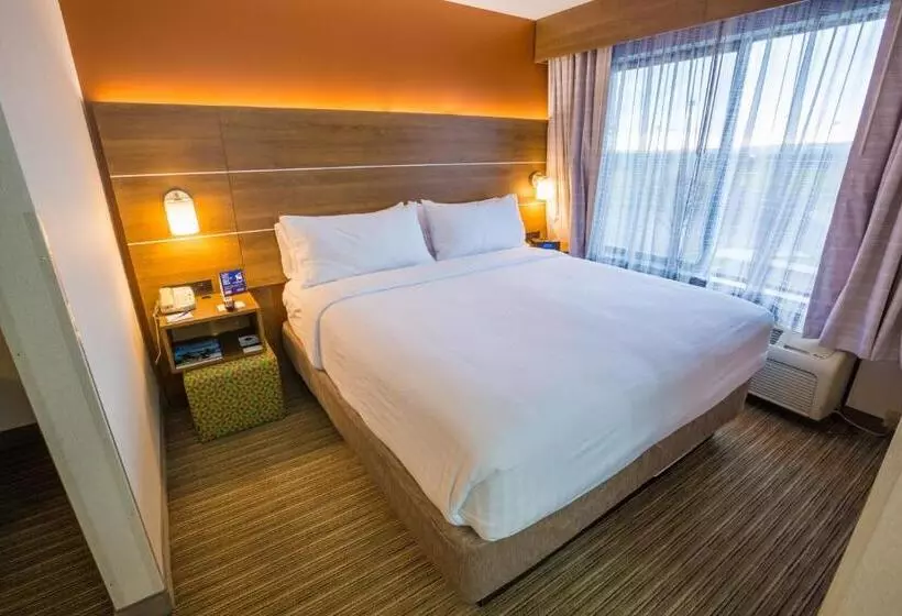 سوئیت اجرایی با تخت کینگ, Holiday Inn Express Hotel & Suites Pasco Tricities, An Ihg