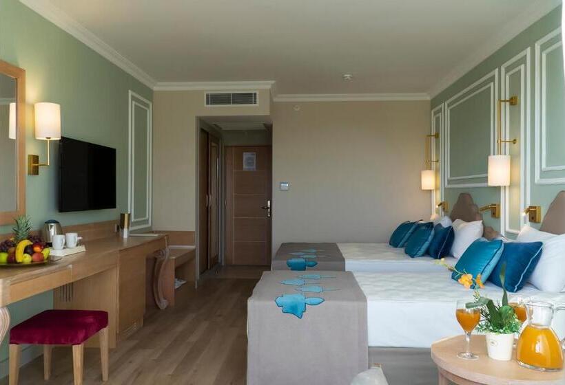 スタンダードルーム, Adalya Art Side All Inclusive