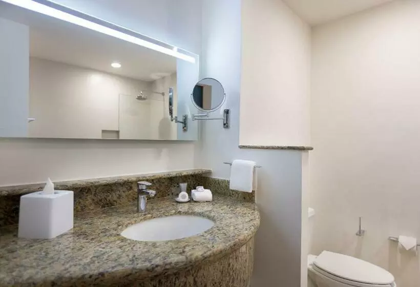 اتاق استاندارد با تخت بزرگ, Courtyard By Marriott Cancun Airport