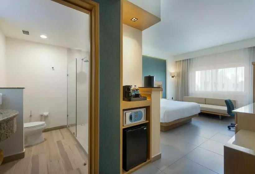 اتاق استاندارد با تخت بزرگ, Courtyard By Marriott Cancun Airport