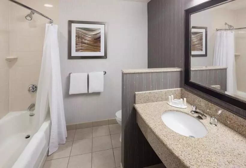 اتاق استاندارد, Courtyard By Marriott Santa Clarita Valencia