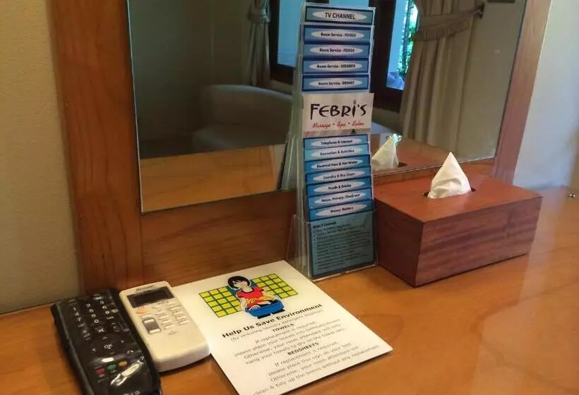 اتاق سوپریور با تخت بزرگ, Febri S Hotel & Spa