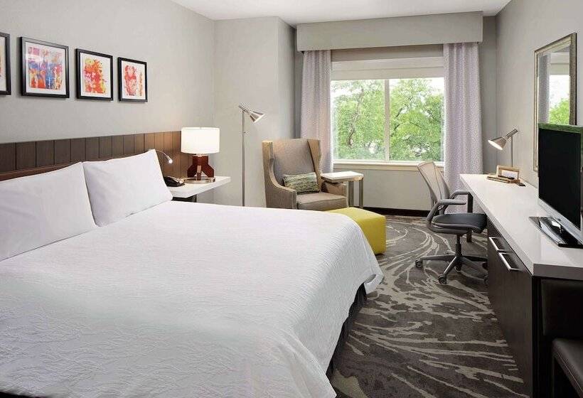 اتاق استاندارد, Hilton Garden Inn Dfw Airport South