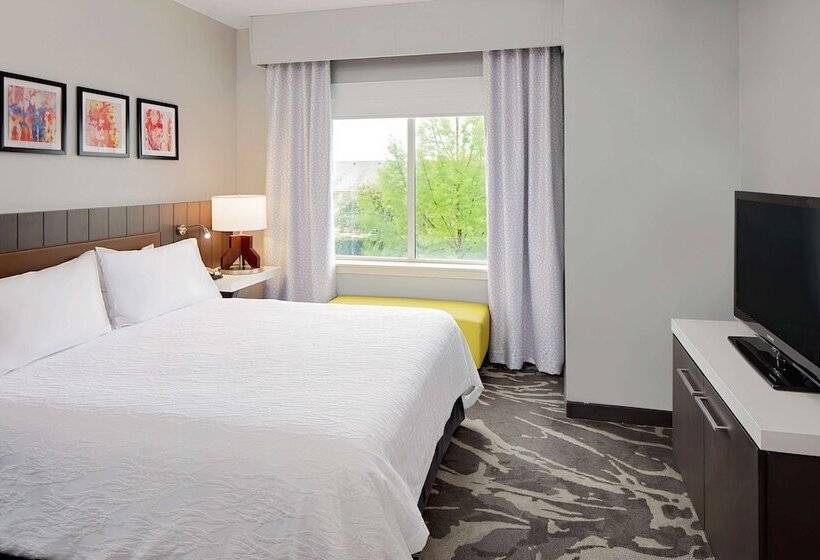スタンダードルーム, Hilton Garden Inn Dfw Airport South