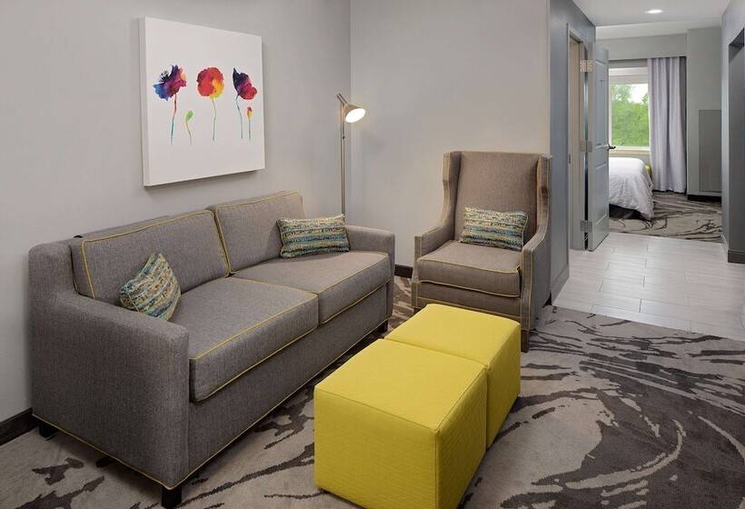 スタンダードルーム, Hilton Garden Inn Dfw Airport South