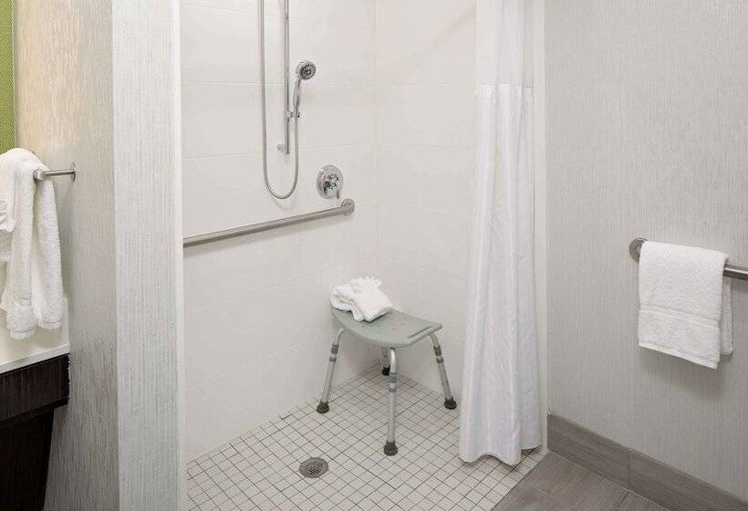 身障者適用スタンダードルーム, Hilton Garden Inn Dfw Airport South