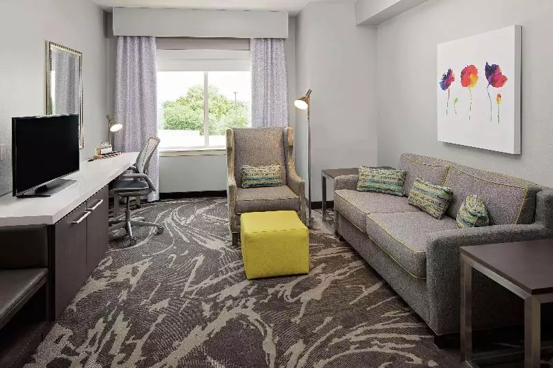 سوئیت با تخت بزرگ, Hilton Garden Inn Dfw Airport South