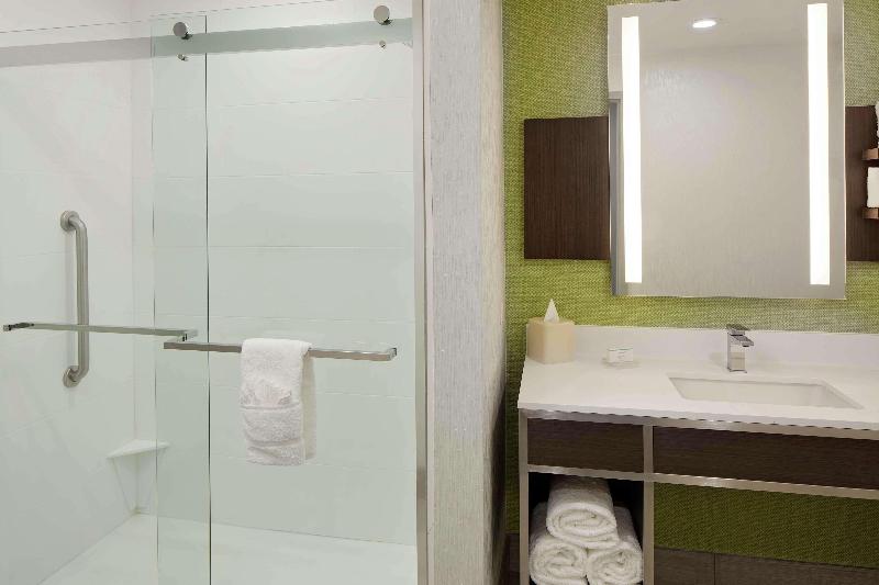 سوئیت با تخت بزرگ, Hilton Garden Inn Dfw Airport South