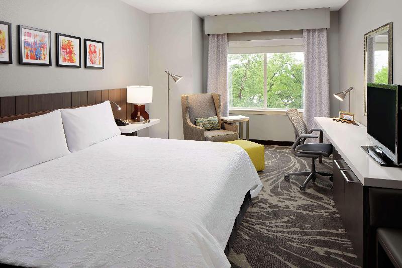 اتاق استاندارد با تخت بزرگ, Hilton Garden Inn Dfw Airport South