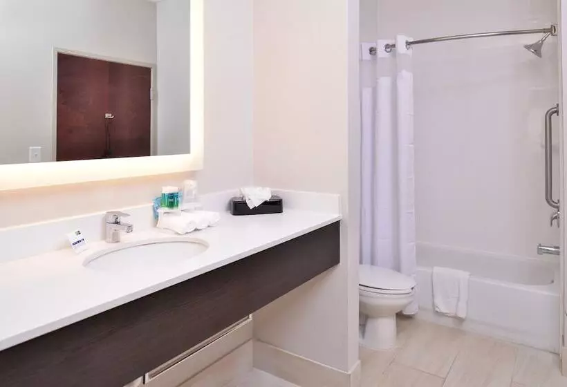 سوییت با چشم‌انداز دریا, Holiday Inn Express & Suites Corpus Christi N Padre Island, An Ihg