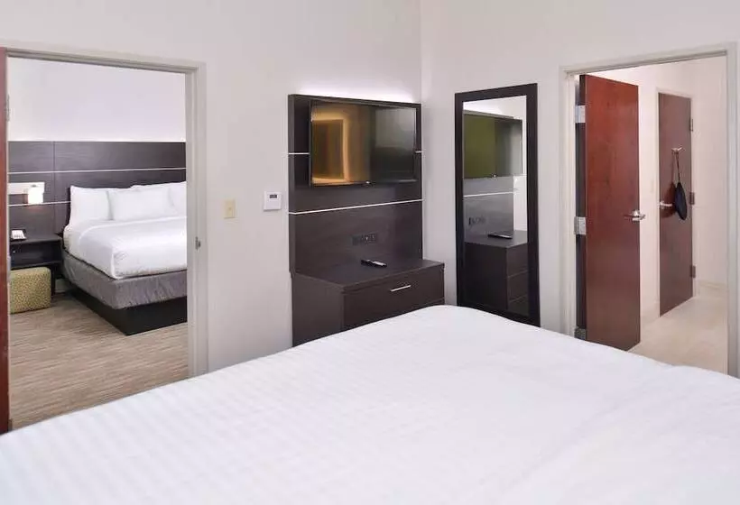 سوییت با چشم‌انداز دریا, Holiday Inn Express & Suites Corpus Christi N Padre Island, An Ihg