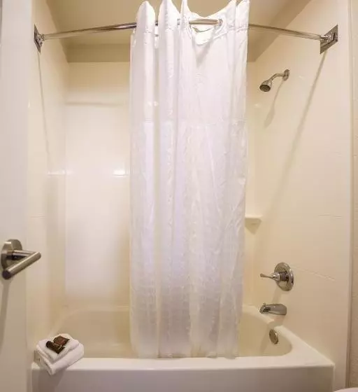 اتاق استاندارد با تخت بزرگ, Wingate By Wyndham Brunswick Ga I 95
