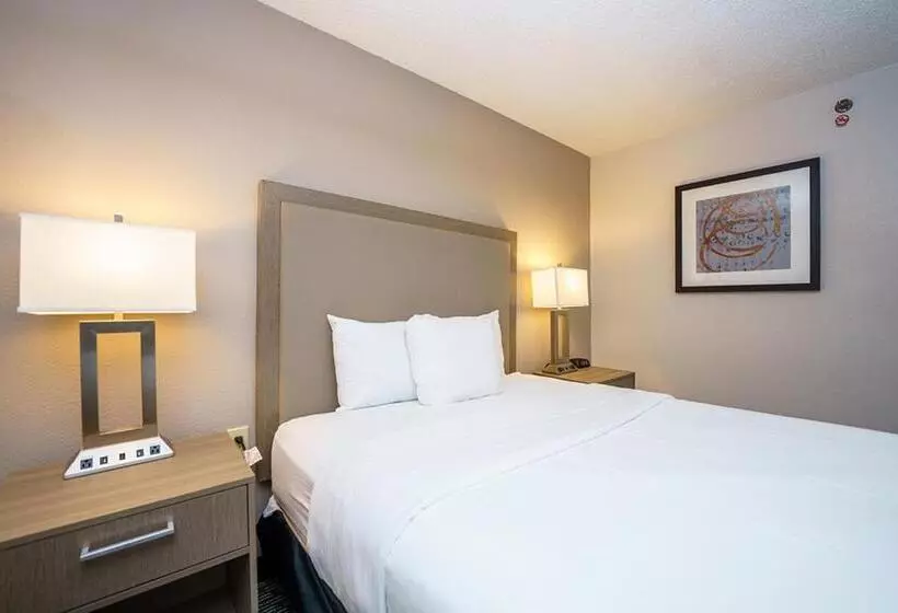 اتاق استاندارد برای معلولان, Wingate By Wyndham Brunswick Ga I 95