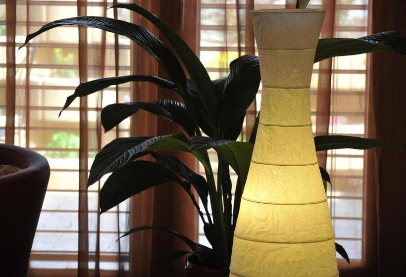 디럭스 스튜디오, Cave Beetschen