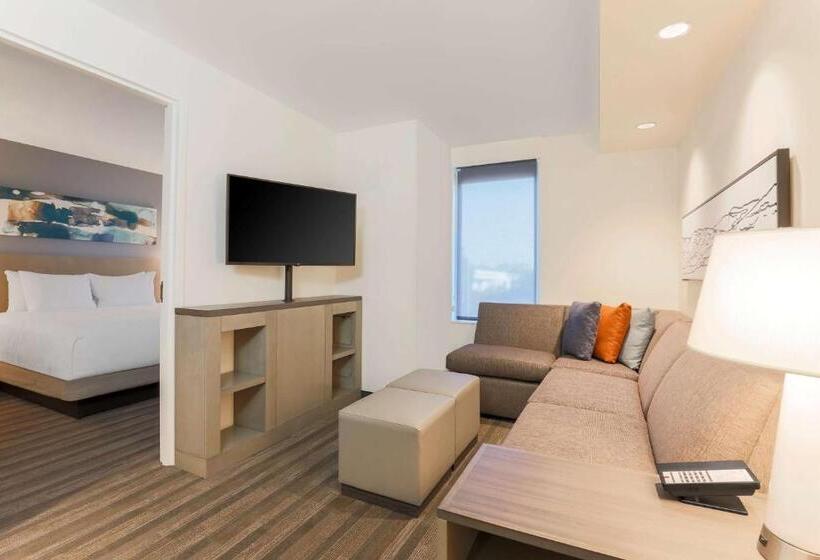 스위트 킹사이즈 침대, Hyatt House Davis