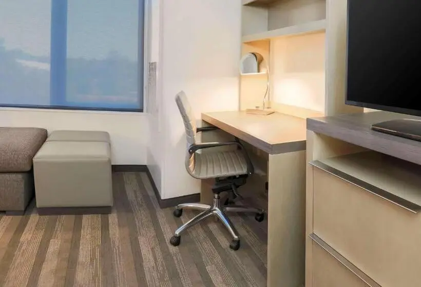 身障者適用キングサイズベッドルーム, Hyatt House Davis