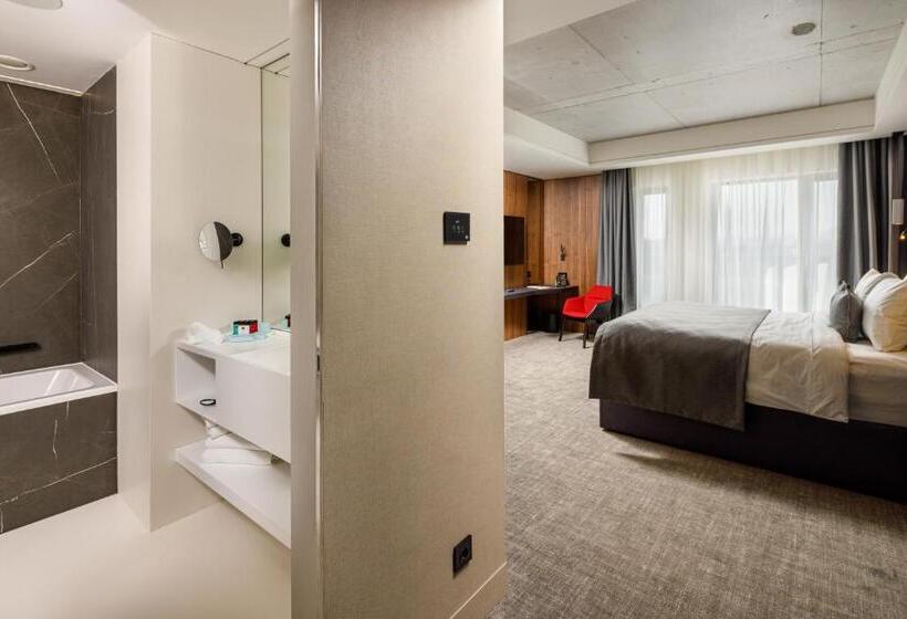 キングサイズベッドのスタンダードルーム, Qosmo Brasov