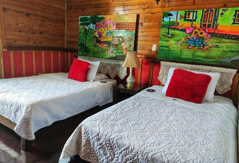 StandaardKamer, Tibouchina