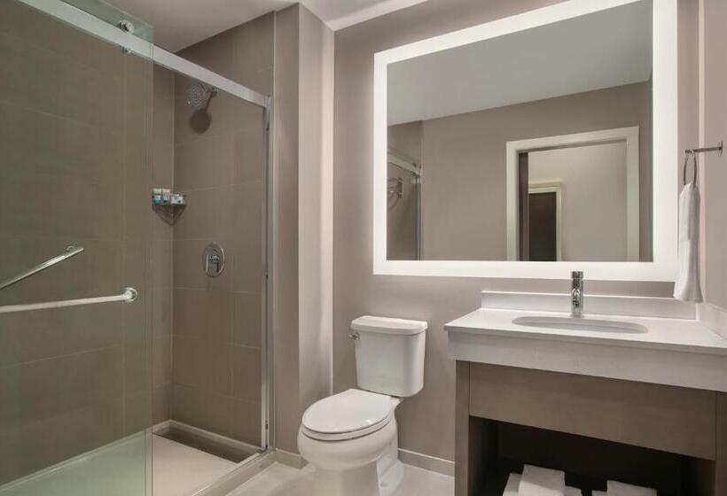 带大床的标准工作室, Hyatt House Atlanta Perimeter Center